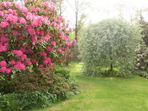 Hollyburn Bed And Breakfast Perth Extérieur photo