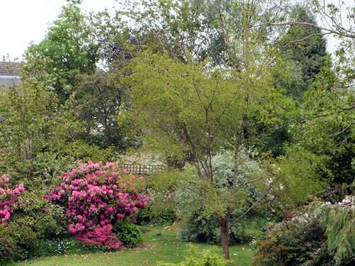 Hollyburn Bed And Breakfast Perth Extérieur photo